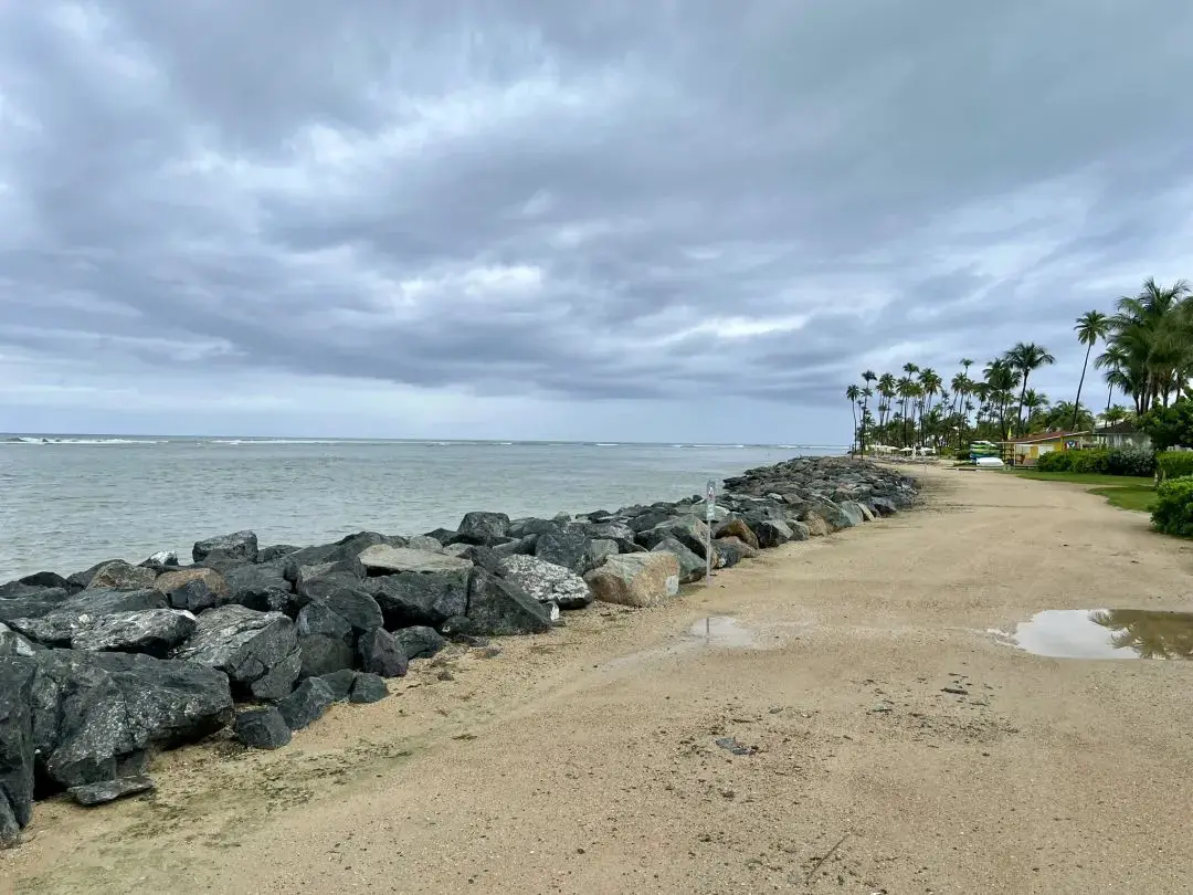 曾经北美最强凯悦C4酒店,优质躺平度假放松圣地 - 波多黎各大保护区凯悦酒店(Hyatt Regency Grand Reserve Puerto Rico)入住体验 30 曾经北美最强凯悦C4酒店,不过仍旧是优质躺平度假放松圣地,入住待遇真的赞