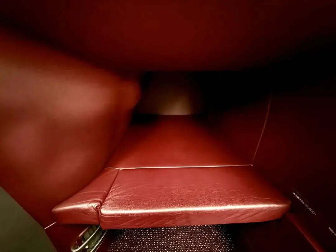 1000美元不到竟拿下亚美线最顶级套间商务舱!“无中生有”大法立大功 - 日本航空A350-1000(纽约 - 东京羽田)商务舱体验 9 1000美元不到竟拿下亚美线最顶级商务舱!“无中生有”大法立大功,实战体验惊喜重重