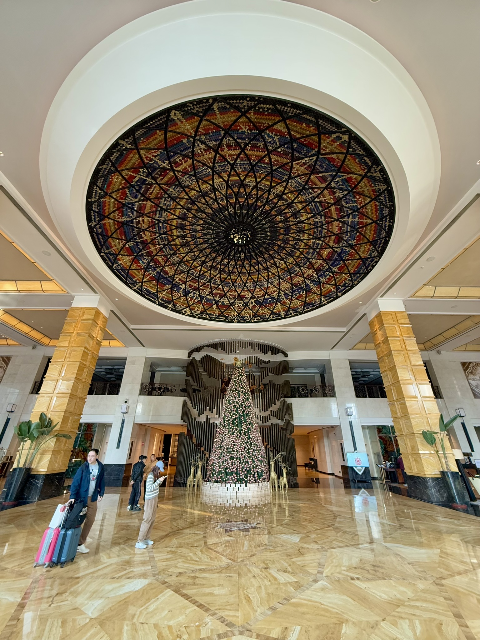 又一次遭遇蟑螂突袭 – 佛山保利洲际酒店(InterContinental Foshan)入住体验 3 又一次遭遇蟑螂突袭 – 佛山保利洲际酒店(InterContinental Foshan)入住体验