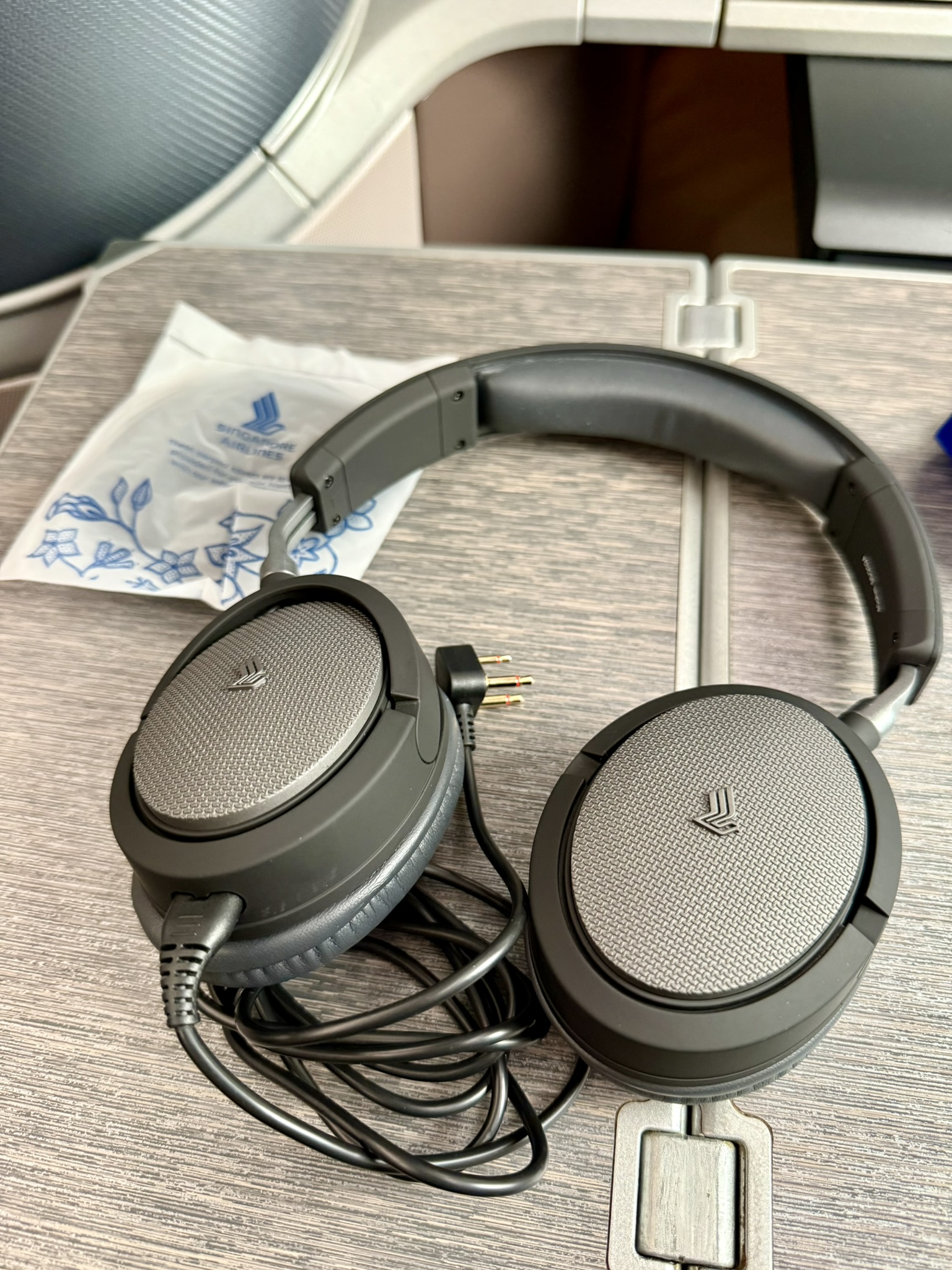 绝版兑换 & 全球最长航线的完美前奏 - 新航B787-10(广州 - 新加坡)商务舱体验 21 绝版兑换 & 全球最长航线的完美前奏 - 新航B787-10(广州 - 新加坡)商务舱体验