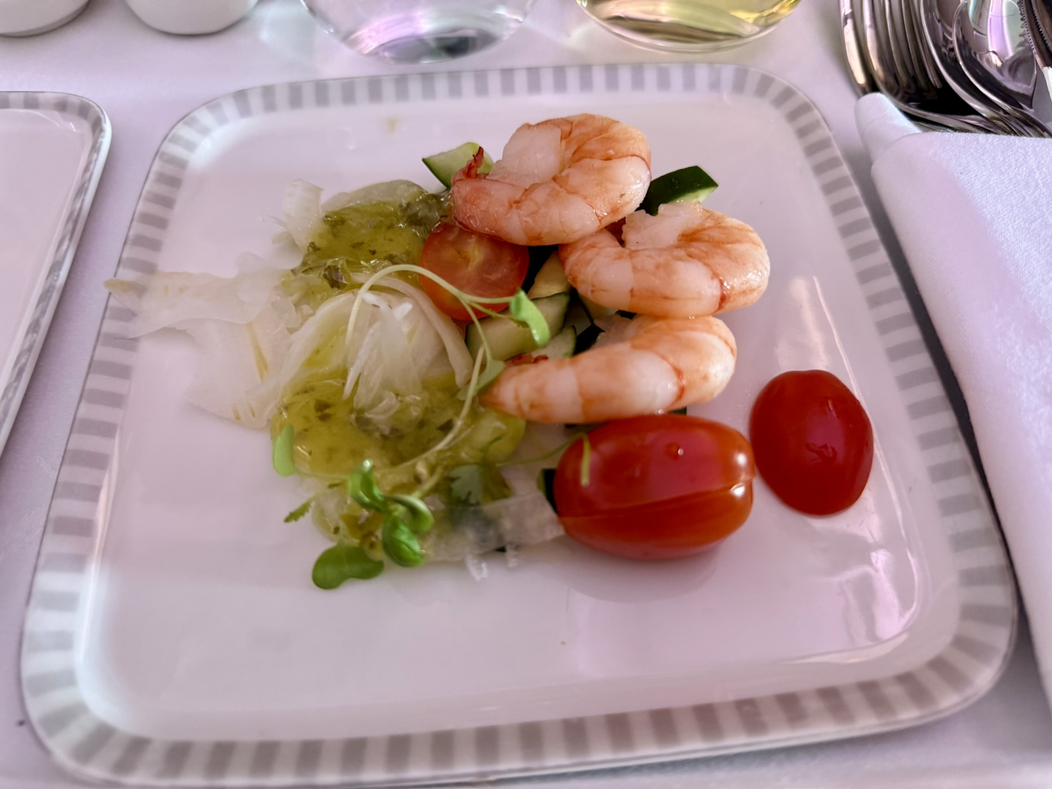 全球最长航班18小时马拉松飞行 – 新航A350-900ULR（新加坡 – 新加坡）商务舱体验