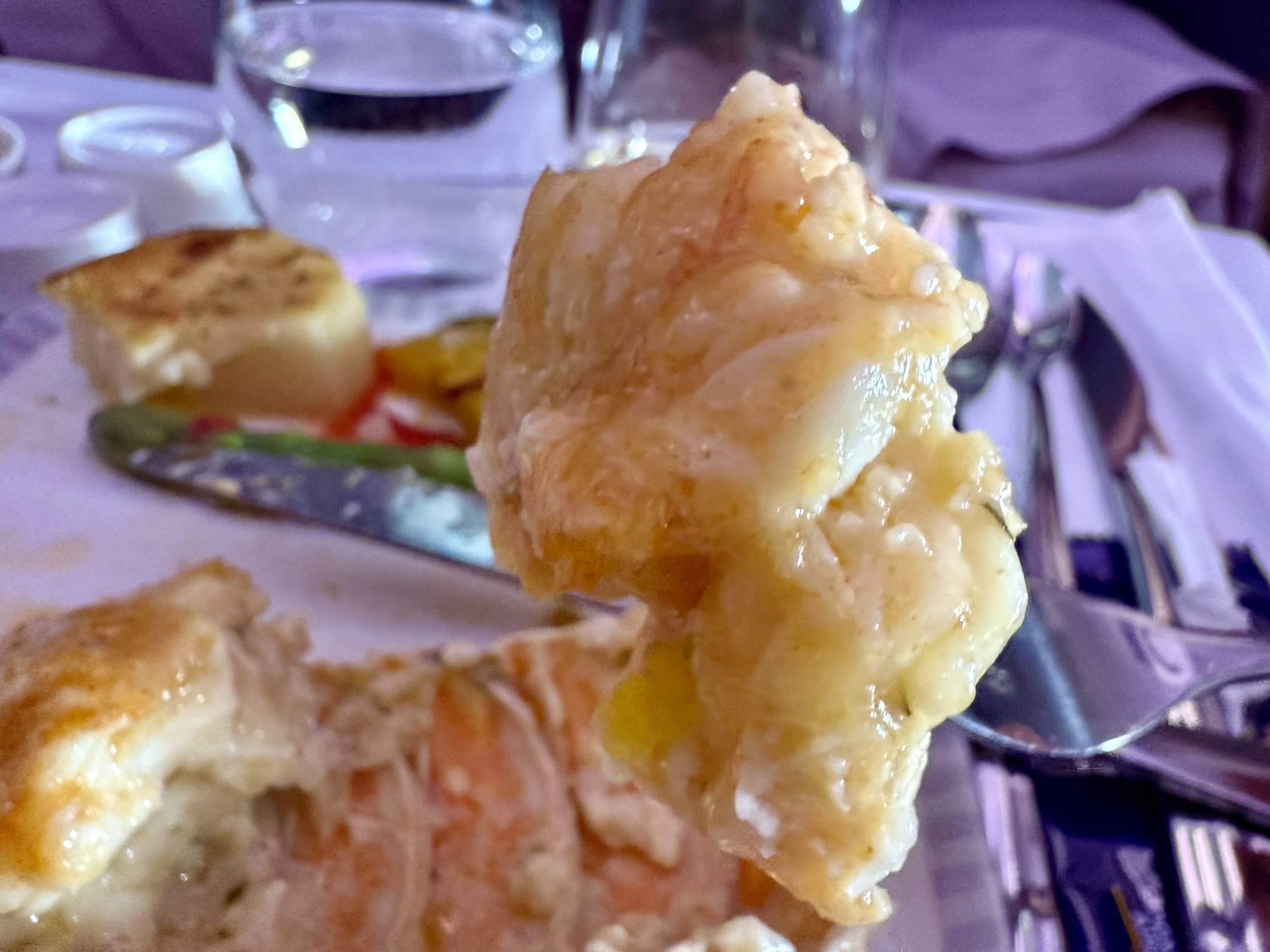 全球最长航班18小时马拉松飞行 – 新航A350-900ULR（新加坡 – 新加坡）商务舱体验