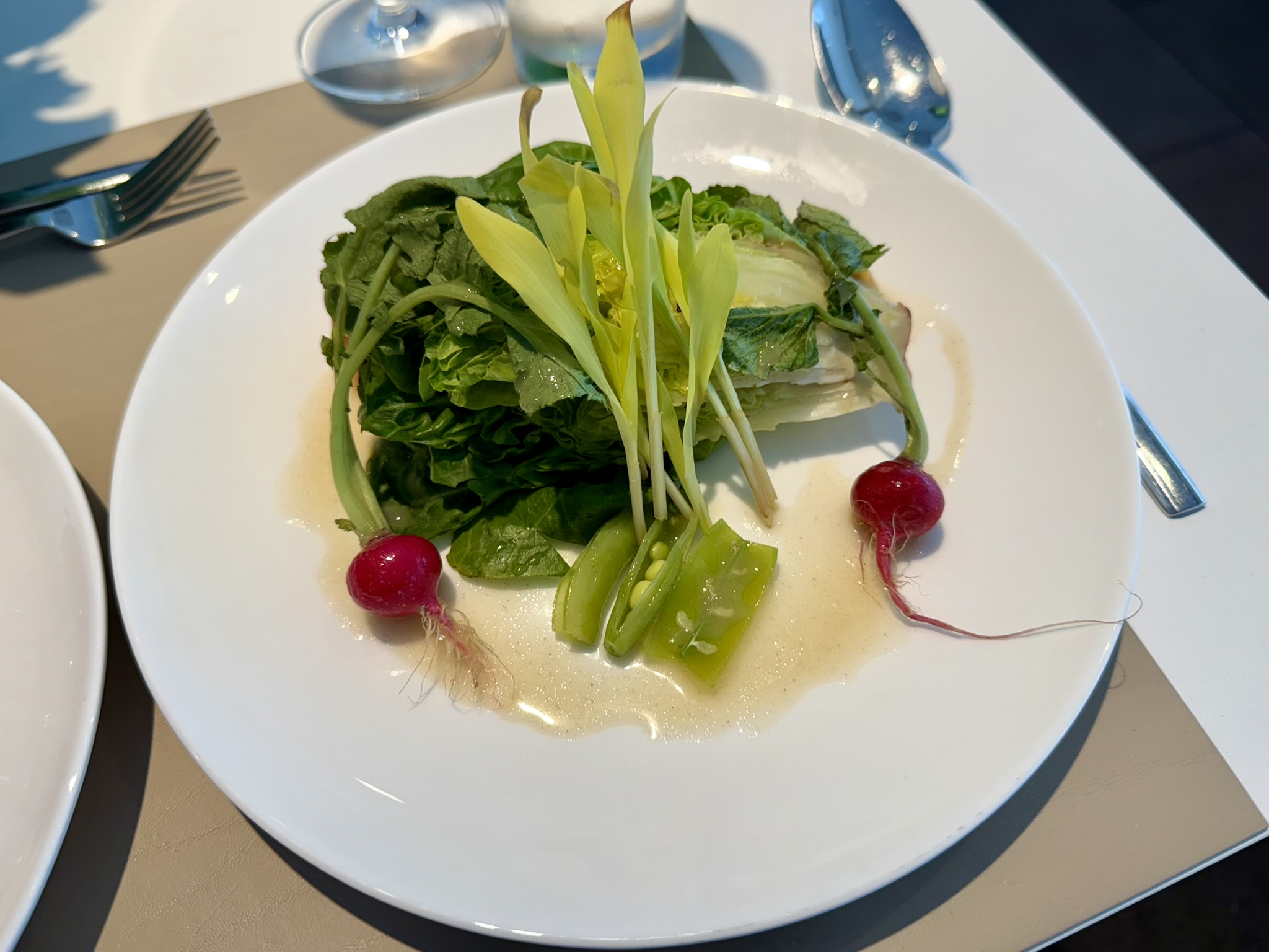 说走就走的A380头等舱：12小时连刷汉莎航空两大顶奢头等舱休息室，还能在休息室过海关入境？！