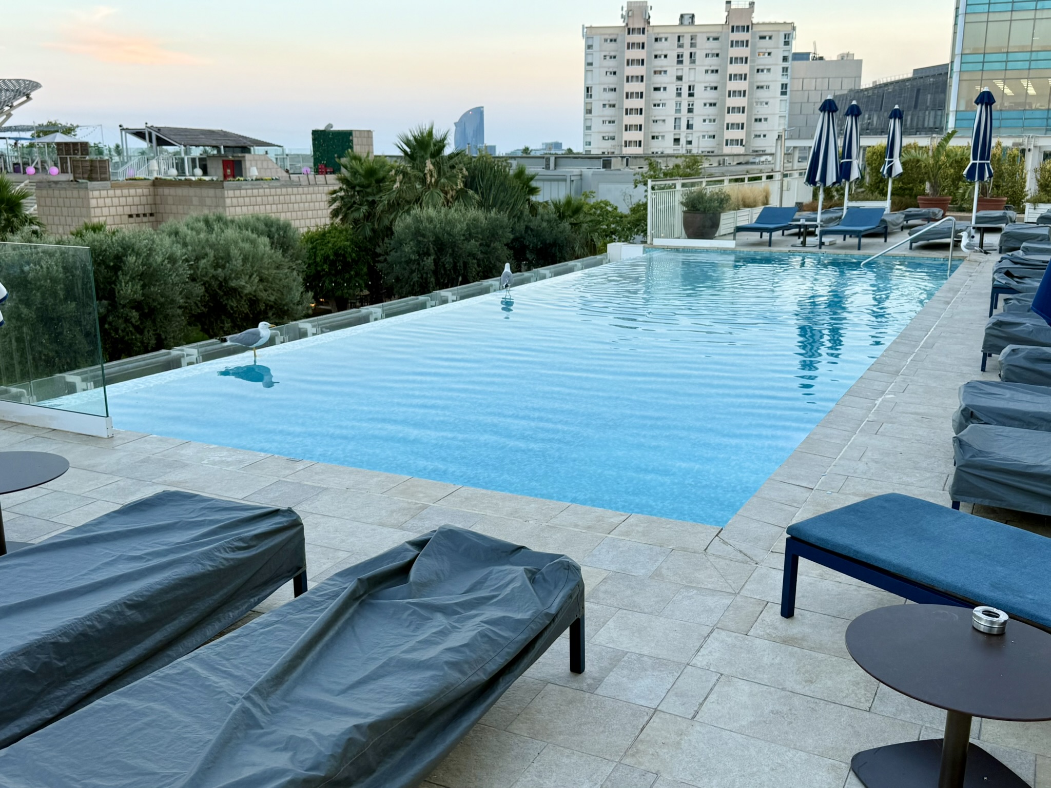 30年奥运顶奢酒店焕新升级 – 巴塞罗那艺术酒店（Hotel Arts Barcelona）入住体验