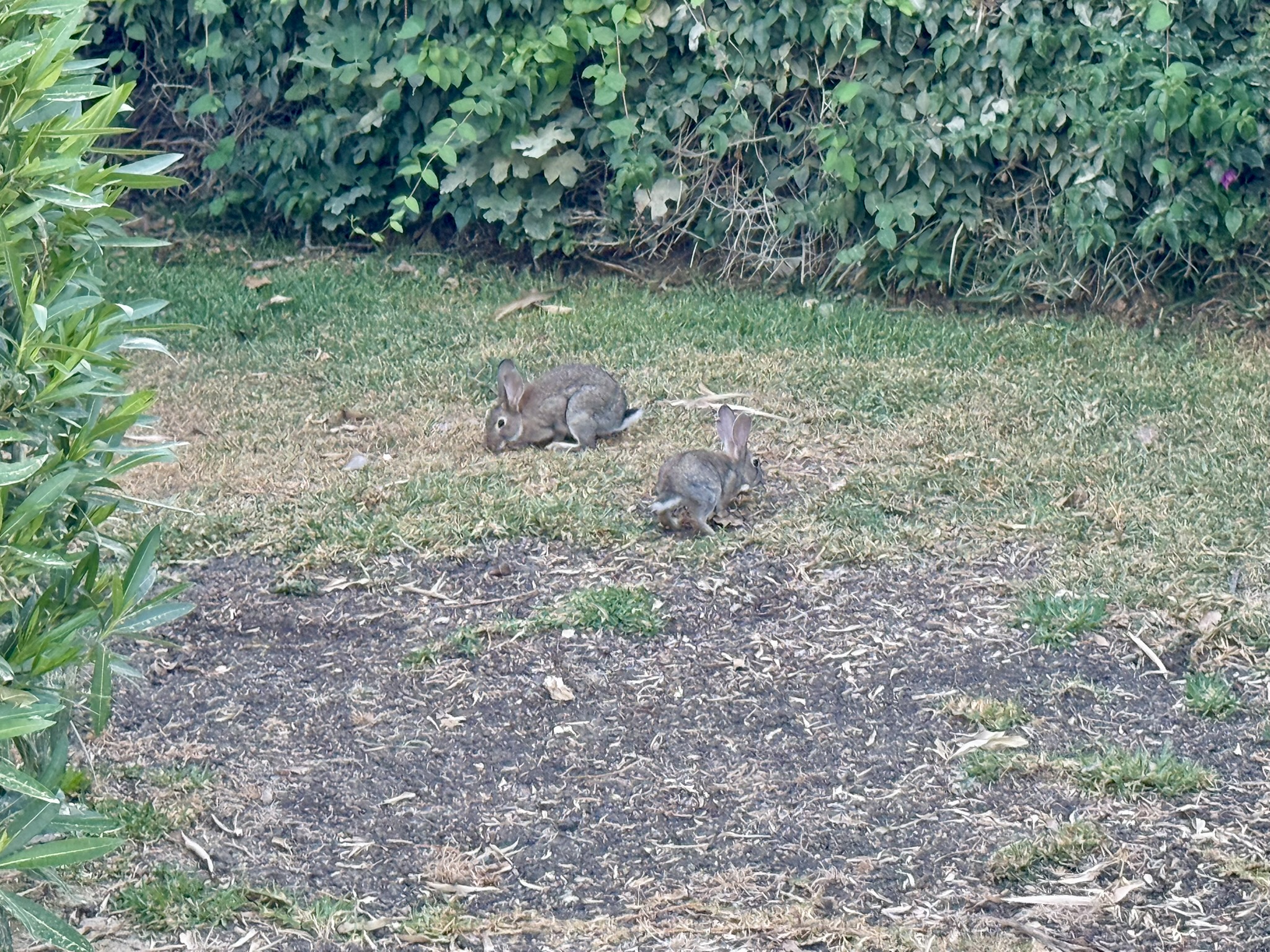【避雷】免房券用在1500欧元一晚的“米一”度假酒店,结果以为在住汽车旅馆 - Nobu Hotel Marbella入住体验 24 【避雷】免房券用在1500欧元一晚的“米一”度假酒店,结果以为在住汽车旅馆 - Nobu Hotel Marbella入住体验